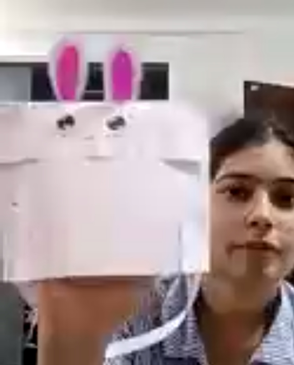 Animal Mask Craft