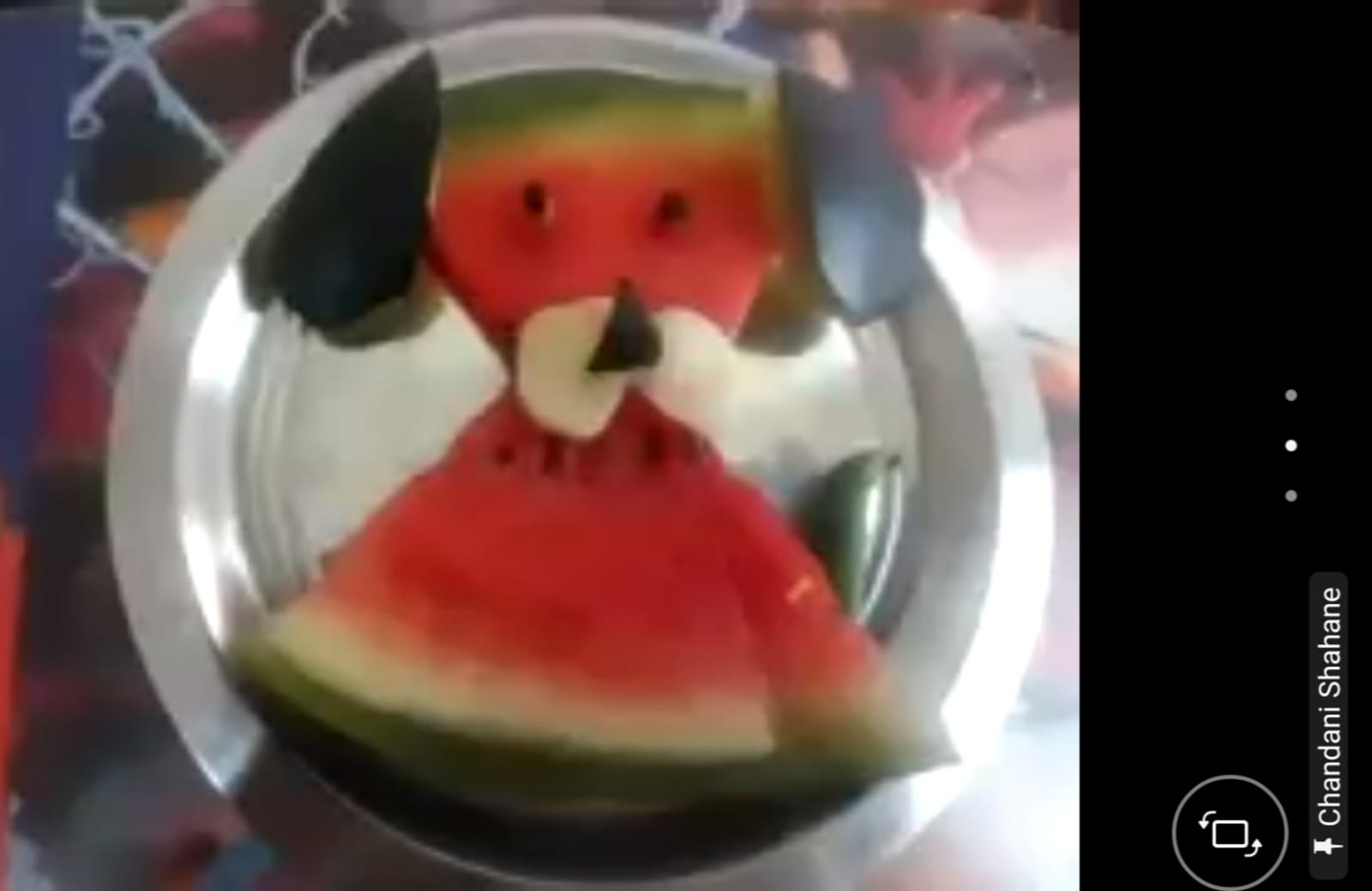 Watermelon Animal Art